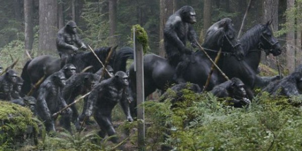 Apes-Revolution–Il-pianeta-delle-Scimmie-398383