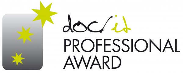 DOC-IT-PROFESSIONAL-AWARD-2016