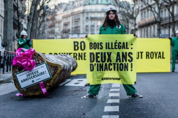 Illegal timber action in Paris