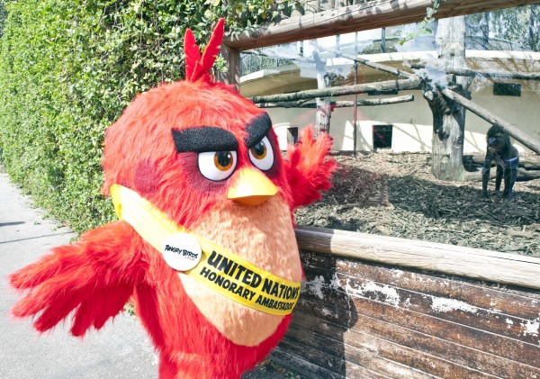 Red_Bioparco-1-Angry-Birds-Il-Film-Red-a-Roma-202662