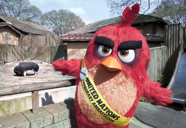 Red_Bioparco-Angry-Birds-Il-Film-Red-a-Roma-202662