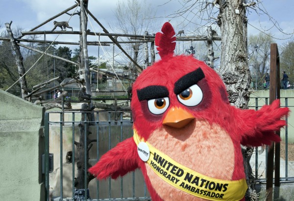 Red_Bioparco_2-Angry-Birds-Il-Film-Red-a-Roma-2026621